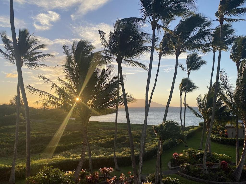 Appartamento Molokai Island Retreat With Beautiful Ocean Views And Pool - Newly Remodeled! Ualapue Esterno foto